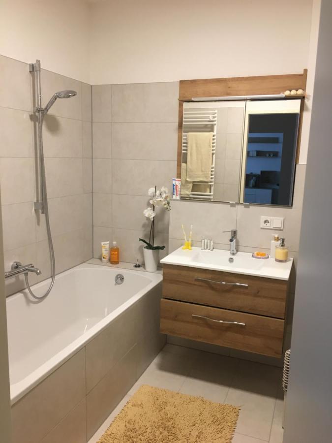 Ferienwohnung Danubia Λιντς Εξωτερικό φωτογραφία